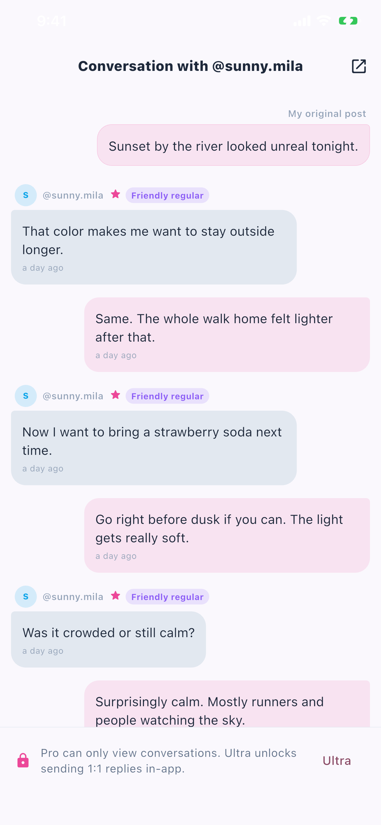 Pingra chat conversation screenshot